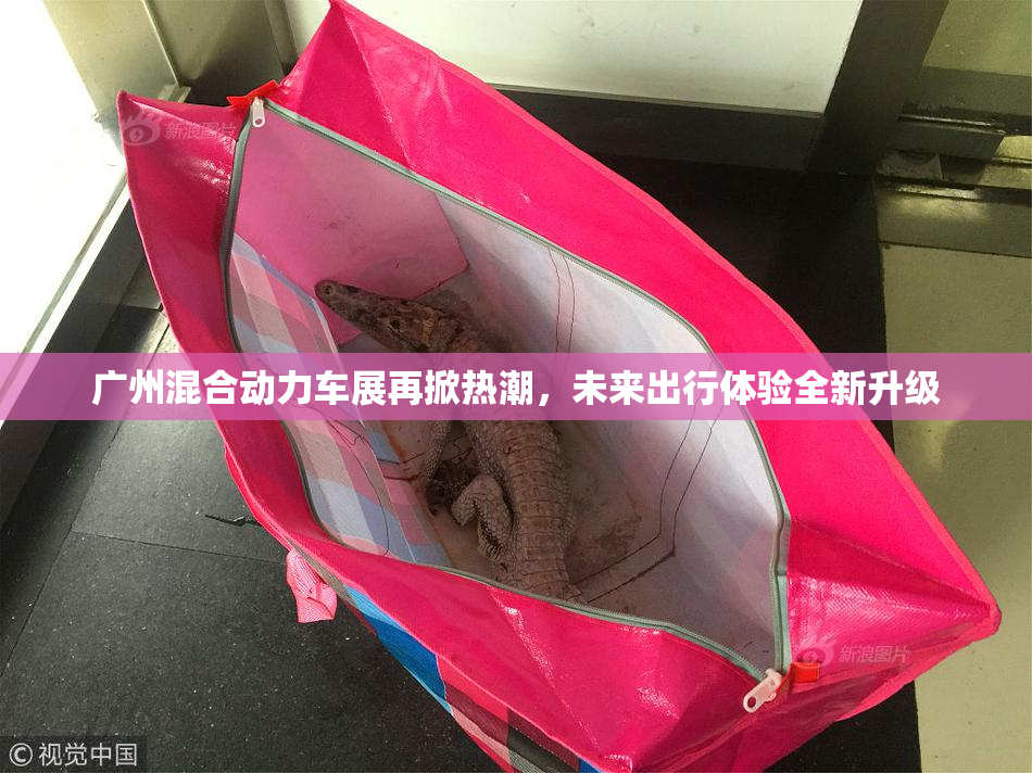 广州混合动力车展再掀热潮，未来出行体验全新升级