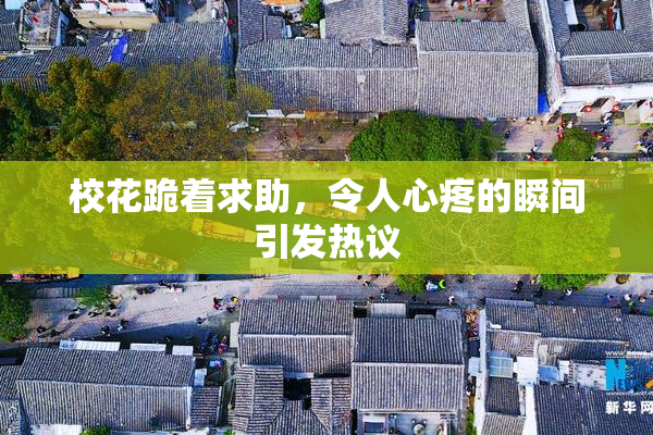 校花跪着求助，令人心疼的瞬间引发热议