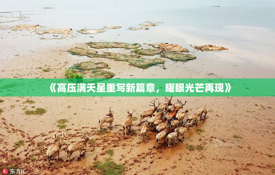 《高压满天星重写新篇章，耀眼光芒再现》