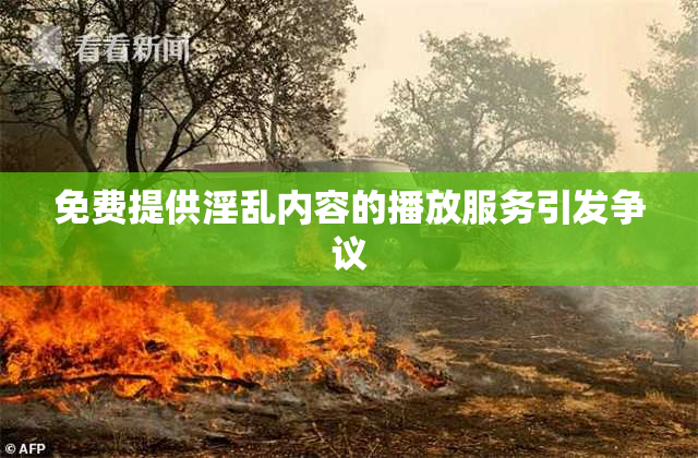 免费提供淫乱内容的播放服务引发争议
