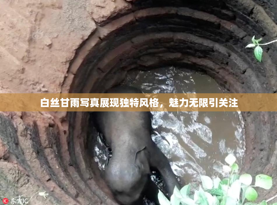 白丝甘雨写真展现独特风格，魅力无限引关注