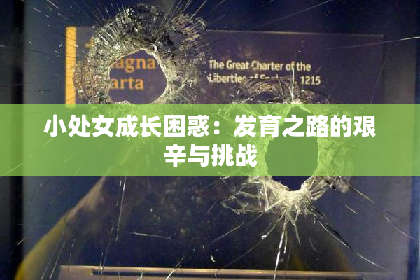 小处女成长困惑：发育之路的艰辛与挑战