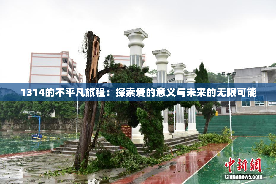 1314的不平凡旅程：探索爱的意义与未来的无限可能