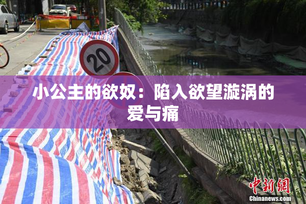 小公主的欲奴：陷入欲望漩涡的爱与痛