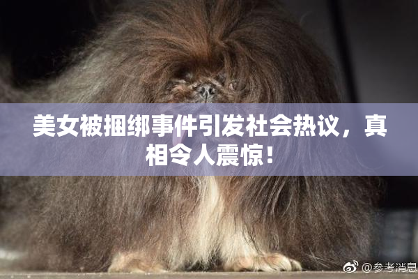 美女被捆绑事件引发社会热议，真相令人震惊！