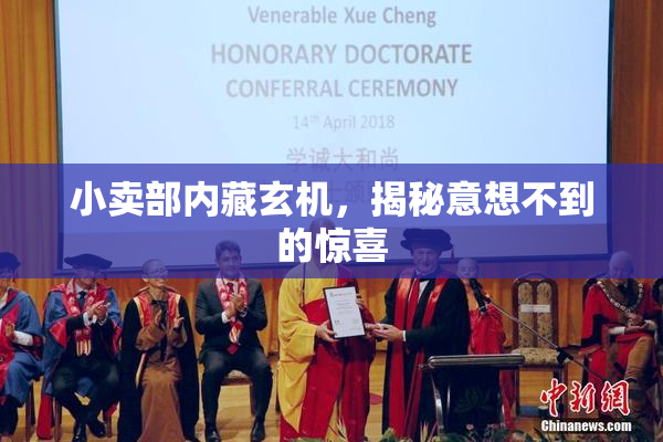小卖部内藏玄机，揭秘意想不到的惊喜