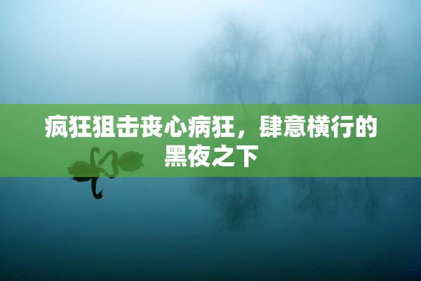 疯狂狙击丧心病狂，肆意横行的黑夜之下