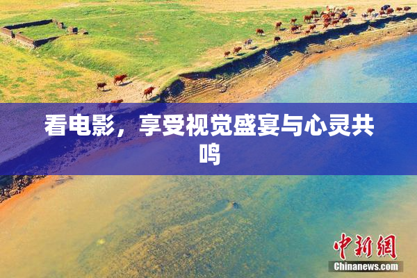 看电影，享受视觉盛宴与心灵共鸣