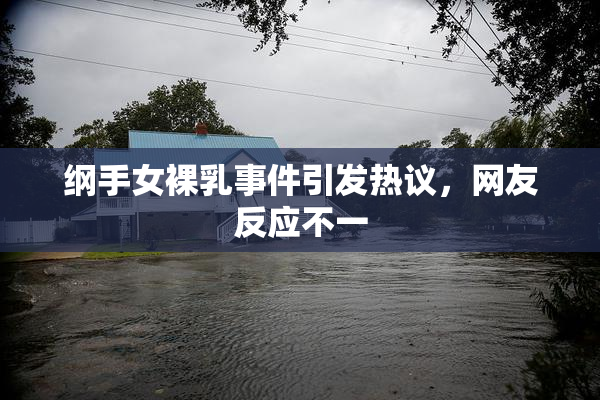 纲手女裸乳事件引发热议，网友反应不一