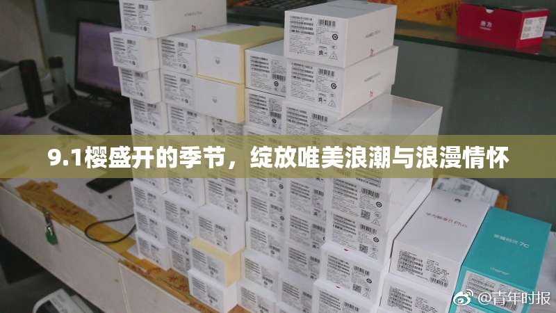 9.1樱盛开的季节，绽放唯美浪潮与浪漫情怀