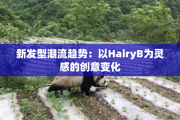 新发型潮流趋势：以HairyB为灵感的创意变化