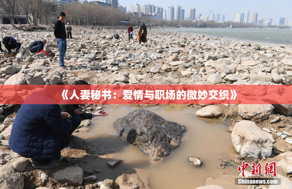 《人妻秘书：爱情与职场的微妙交织》