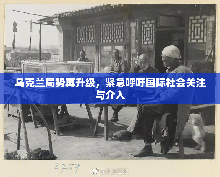 乌克兰局势再升级，紧急呼吁国际社会关注与介入