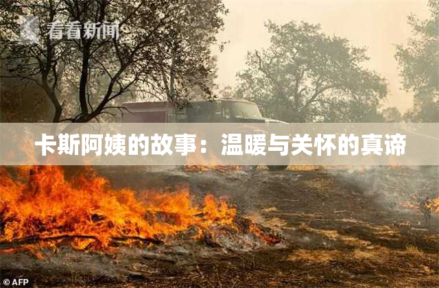 卡斯阿姨的故事：温暖与关怀的真谛