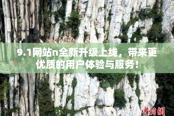 9.1网站n全新升级上线，带来更优质的用户体验与服务！