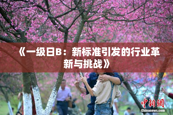 《一级日B：新标准引发的行业革新与挑战》