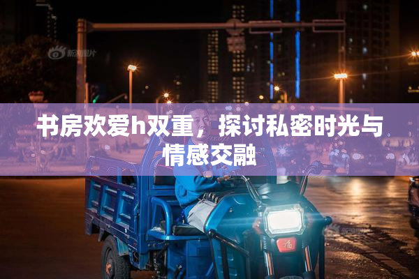 书房欢爱h双重，探讨私密时光与情感交融