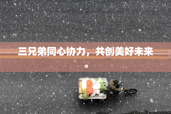三兄弟同心协力，共创美好未来。