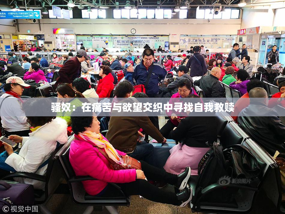 骚奴：在痛苦与欲望交织中寻找自我救赎