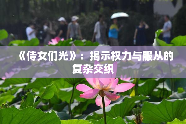 《侍女们光》：揭示权力与服从的复杂交织