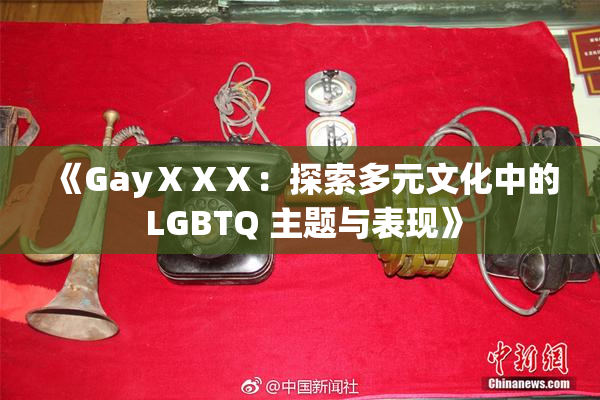 《GayⅩⅩⅩ：探索多元文化中的 LGBTQ 主题与表现》