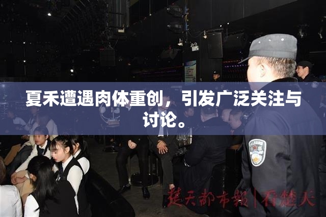 夏禾遭遇肉体重创，引发广泛关注与讨论。