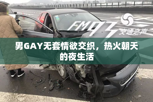 男GAY无套情欲交织，热火朝天的夜生活