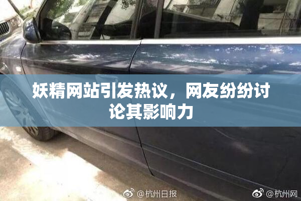 妖精网站引发热议，网友纷纷讨论其影响力