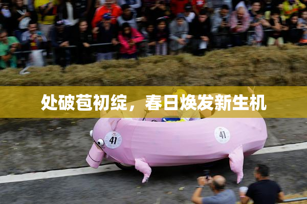 处破苞初绽，春日焕发新生机
