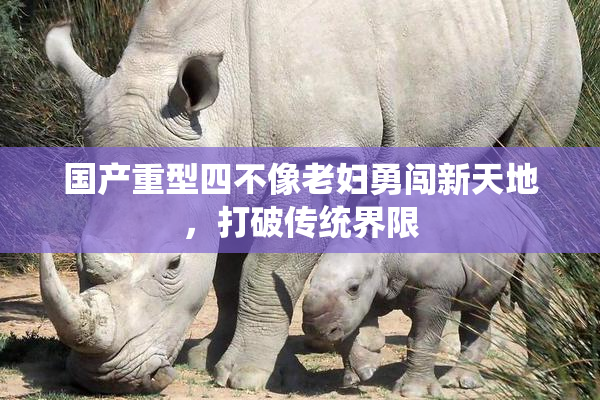 国产重型四不像老妇勇闯新天地，打破传统界限