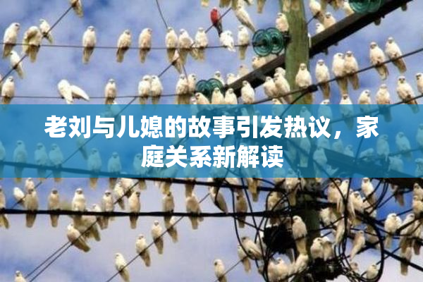 老刘与儿媳的故事引发热议，家庭关系新解读