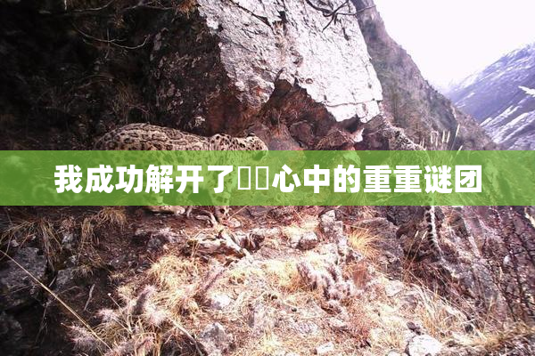 我成功解开了妺妺心中的重重谜团