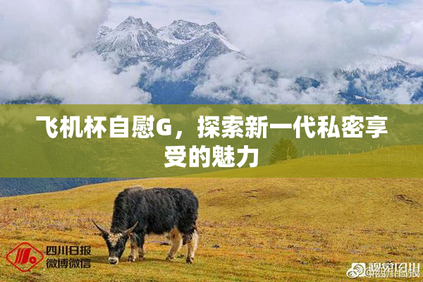 飞机杯自慰G，探索新一代私密享受的魅力