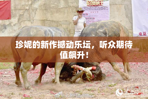 珍妮的新作撼动乐坛，听众期待值飙升！