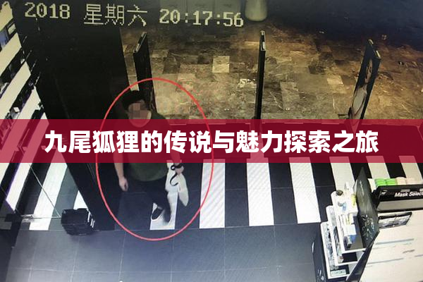 九尾狐狸的传说与魅力探索之旅
