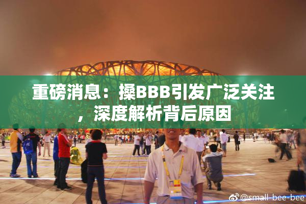 重磅消息：搡BBB引发广泛关注，深度解析背后原因