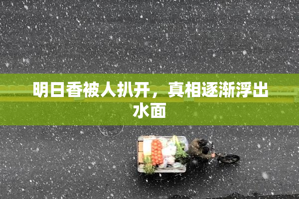 明日香被人扒开，真相逐渐浮出水面