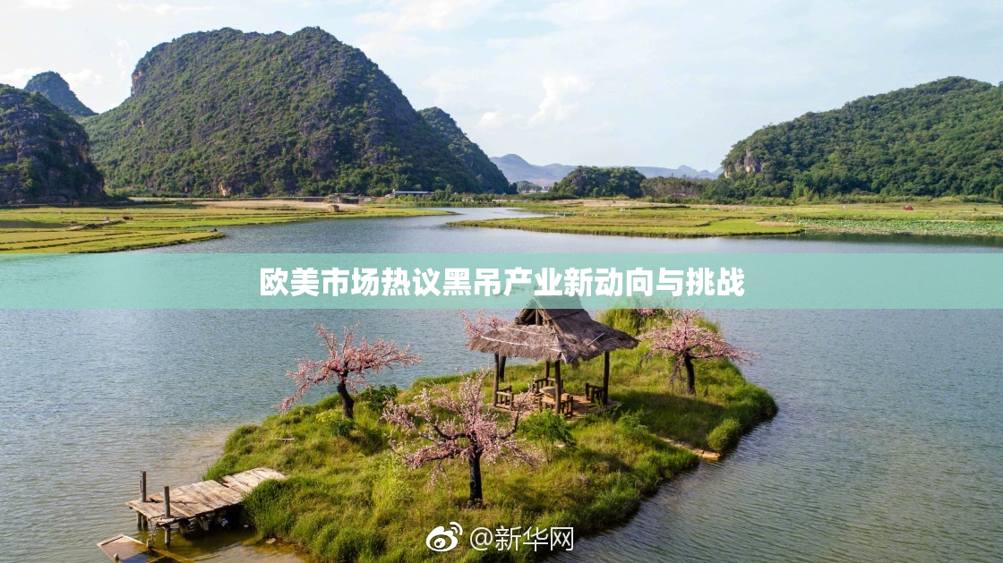 欧美市场热议黑吊产业新动向与挑战