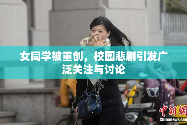 女同学被重创，校园悲剧引发广泛关注与讨论