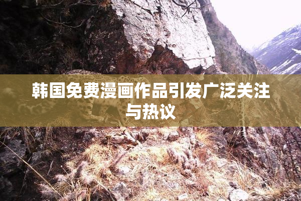 韩国免费漫画作品引发广泛关注与热议