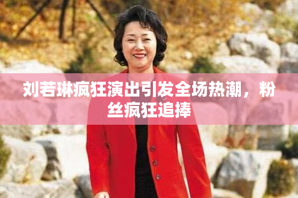 刘若琳疯狂演出引发全场热潮，粉丝疯狂追捧