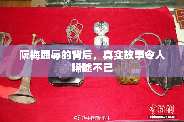 阮梅屈辱的背后，真实故事令人唏嘘不已