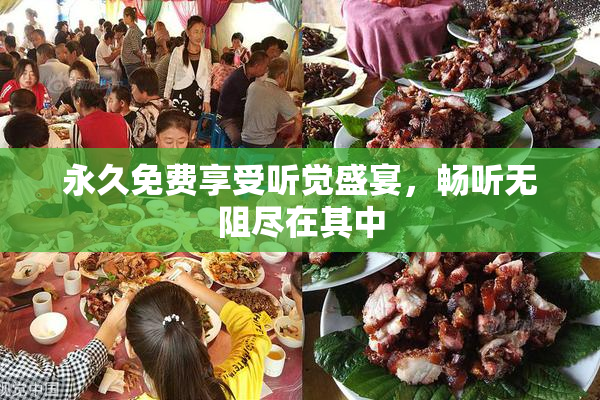 永久免费享受听觉盛宴，畅听无阻尽在其中