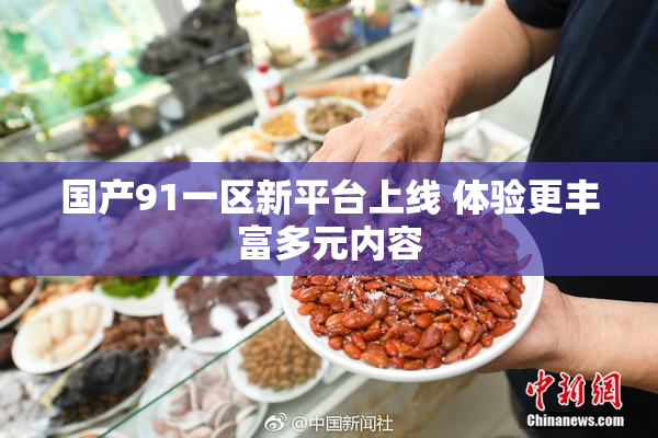 国产91一区新平台上线 体验更丰富多元内容