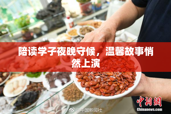 陪读学子夜晚守候，温馨故事悄然上演