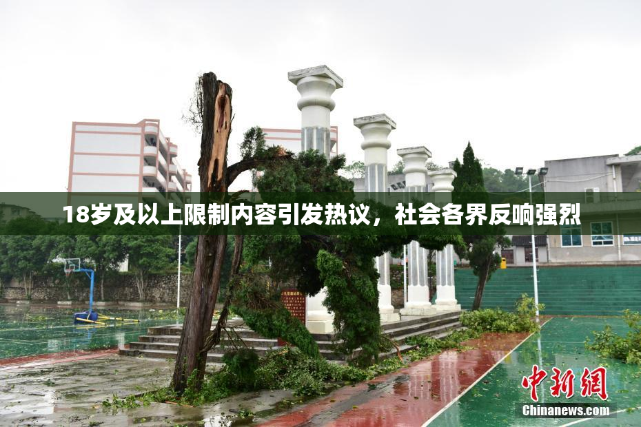 18岁及以上限制内容引发热议，社会各界反响强烈
