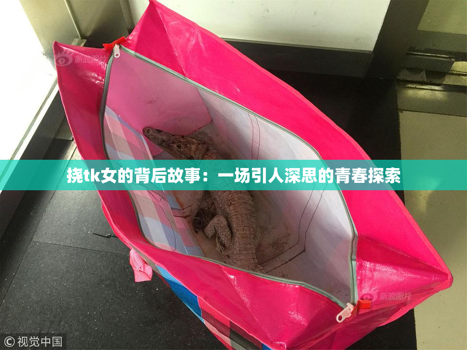 挠tk女的背后故事：一场引人深思的青春探索