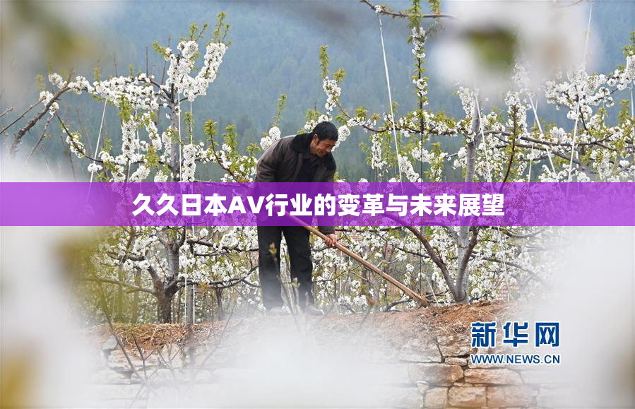 久久日本AV行业的变革与未来展望