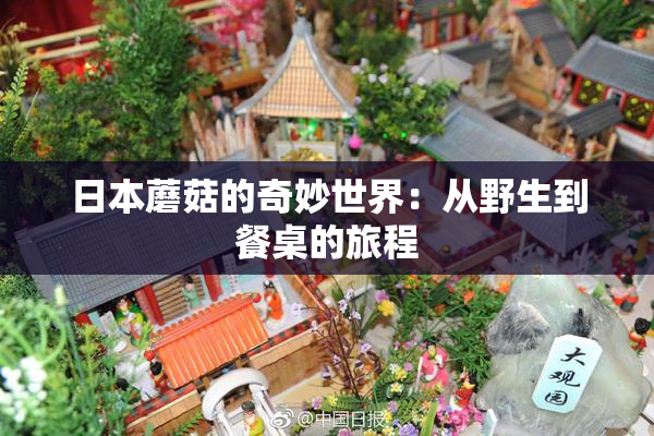 日本蘑菇的奇妙世界：从野生到餐桌的旅程