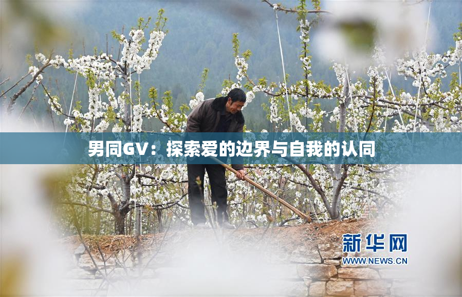 男同GV：探索爱的边界与自我的认同
